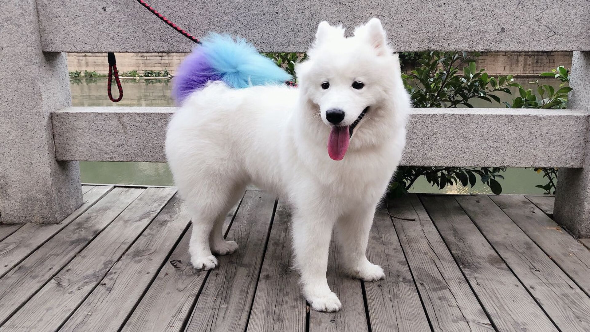 九游网页版入口-NBA球员赛季合同签订分析，nba球员赛季合同签订分析图